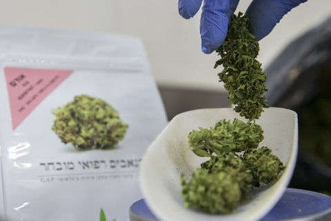 How booming Israeli weed industry is changing American pot