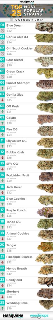 25 Most Popular Strains Across North America in October