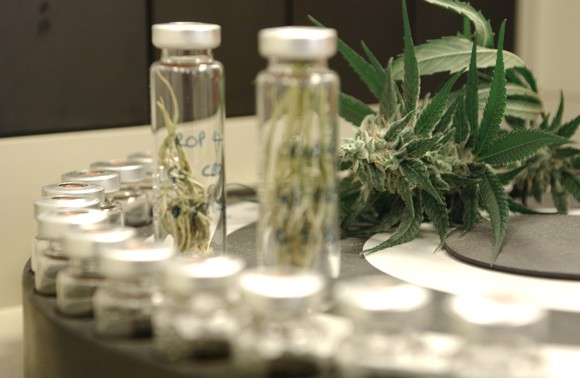 The federal government broke its medical marijuana promise