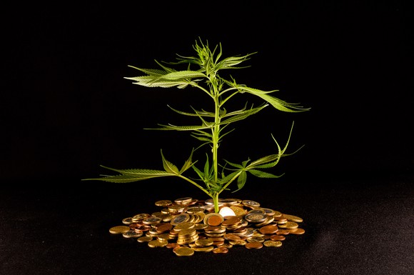 3 Top Marijuana Stocks to Buy Now -- Plus 2 Bonus Ideas