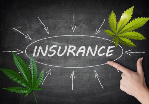 Image result for cannabis insurance company