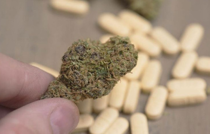 Treating Patients with Marijuana