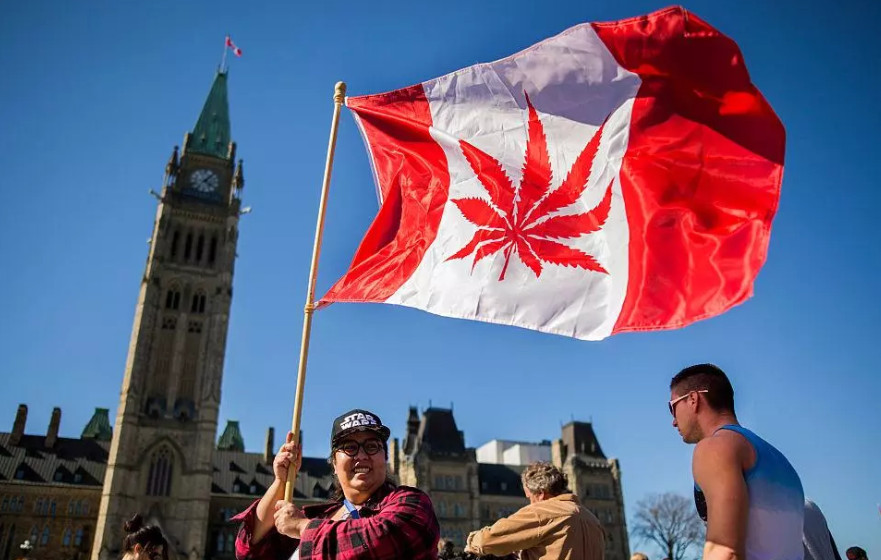 A woman waves a flag with a marijuana leaf