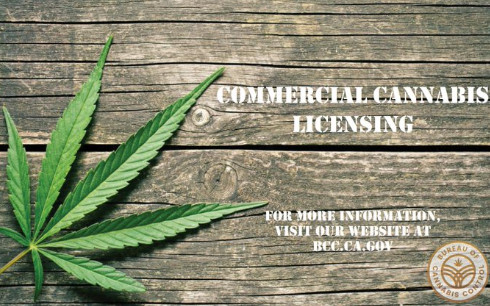 Commercial Cannabis License