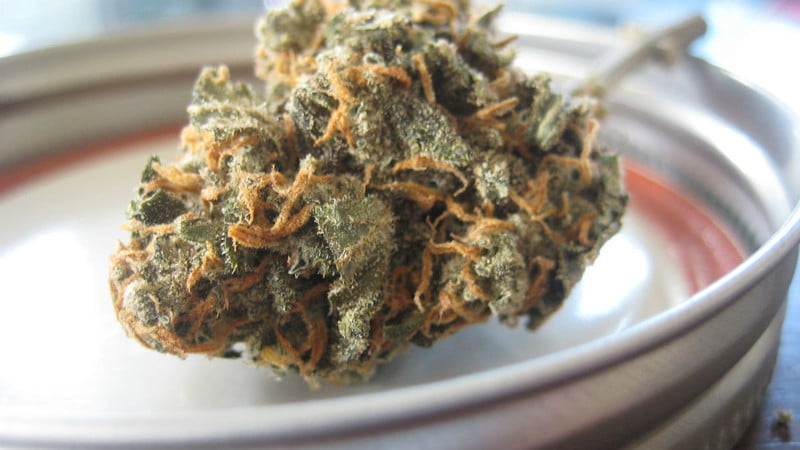 weed-cannabis-marijuana-bud-flower